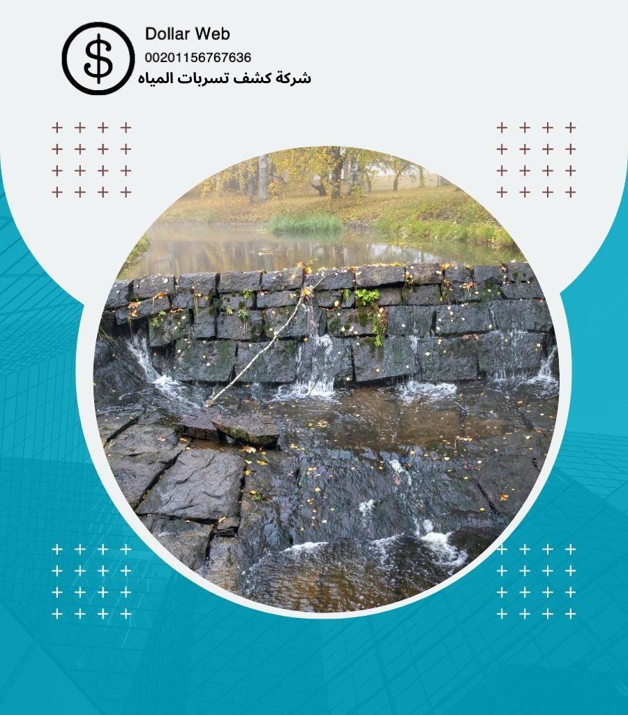 كشف تسربات حي الصفا