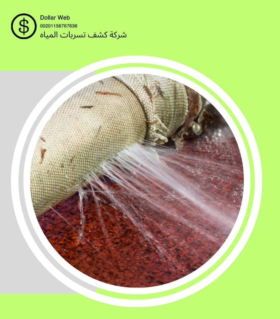 كشف تسربات الواحة