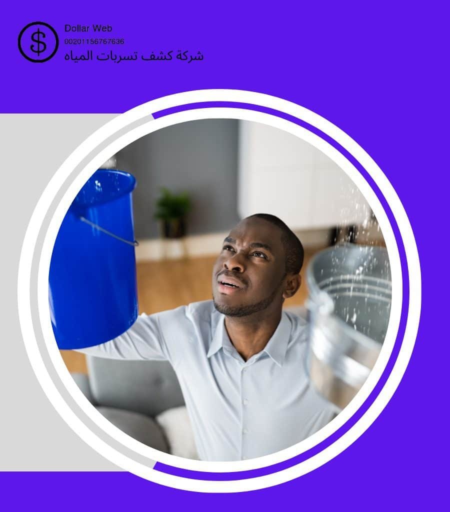 كشف تسربات الأمير فواز