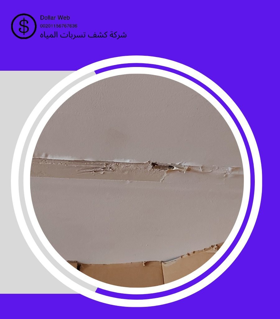 كشف تسربات حي الجامعة