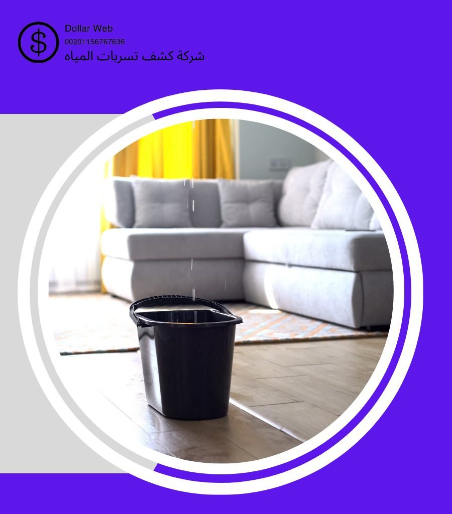 كشف تسربات حي البوادي