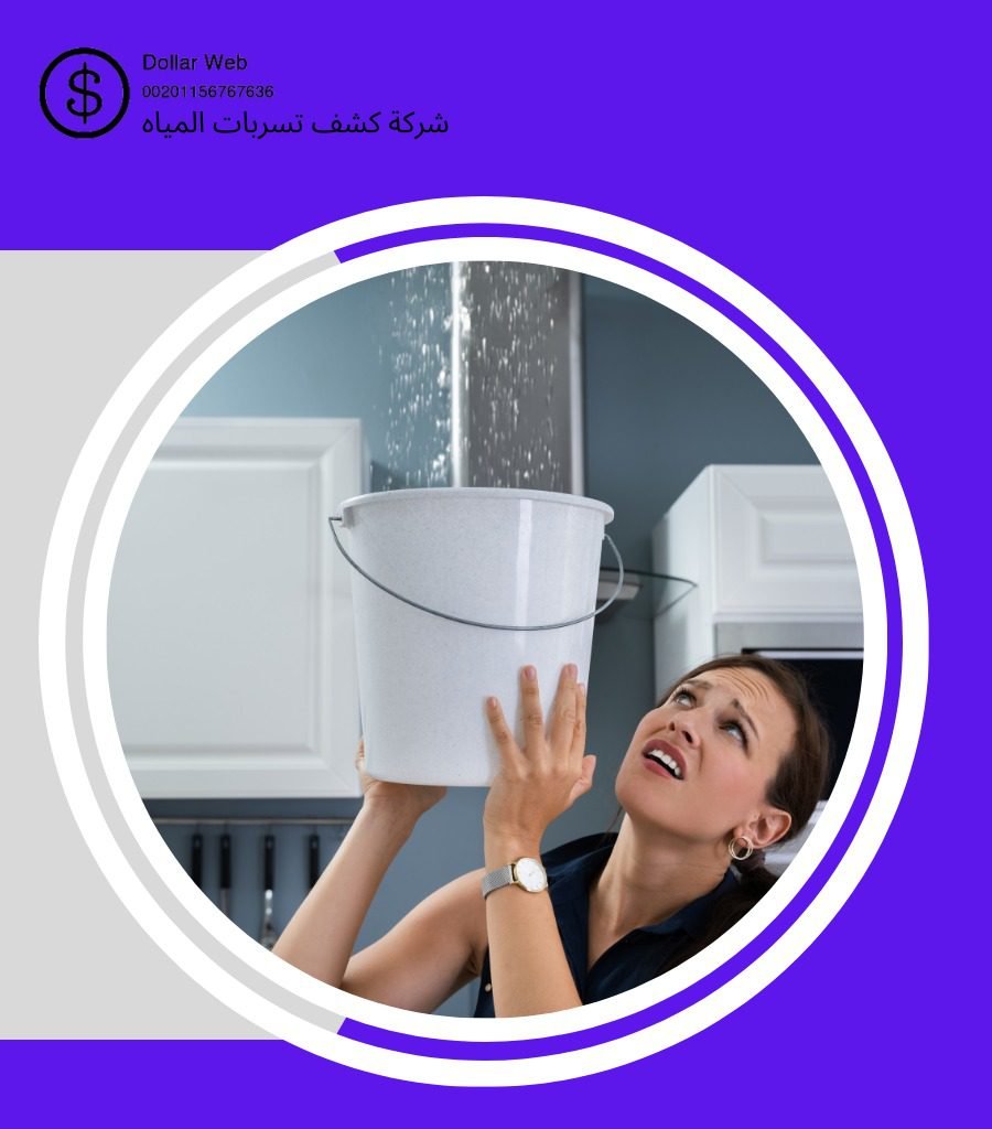 كشف تسربات حي الروابي