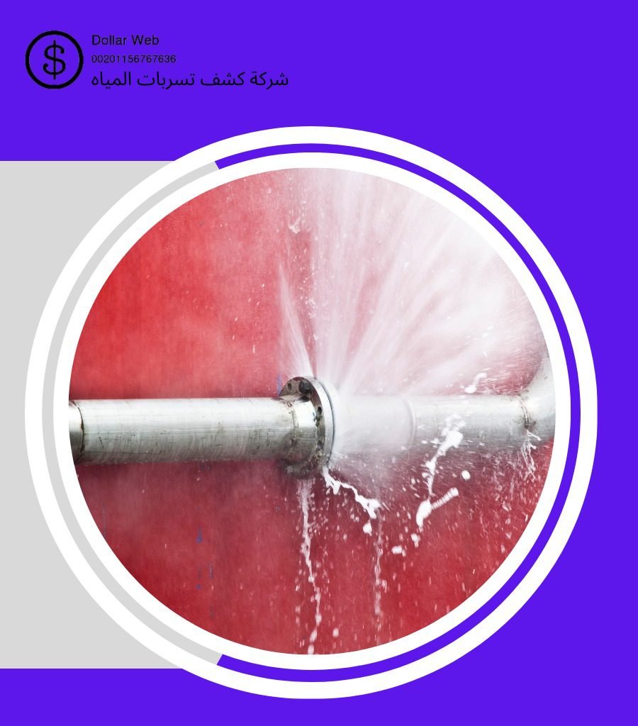كشف تسربات حي الروضة