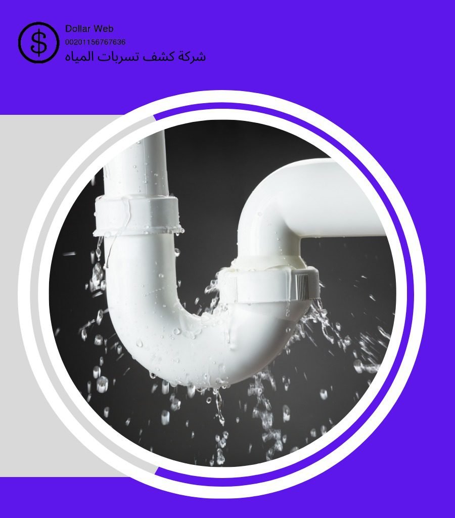 كشف تسربات الورود