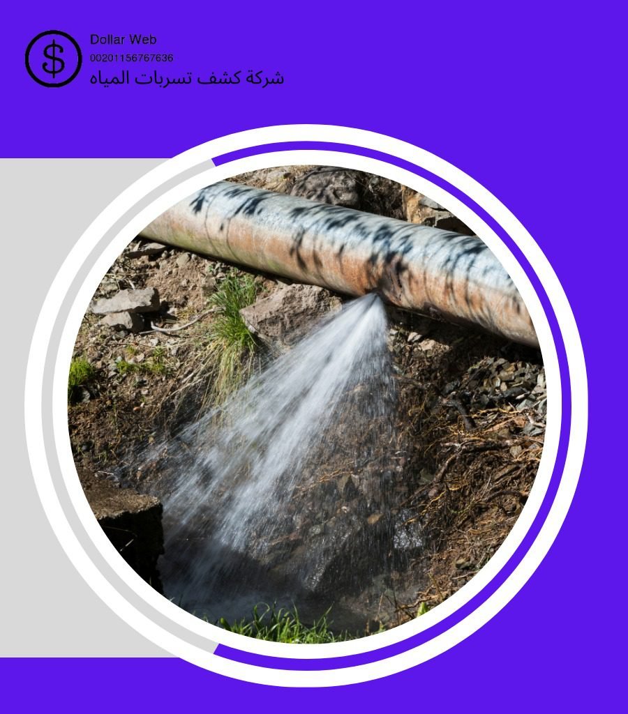 كشف تسربات حي المرجان