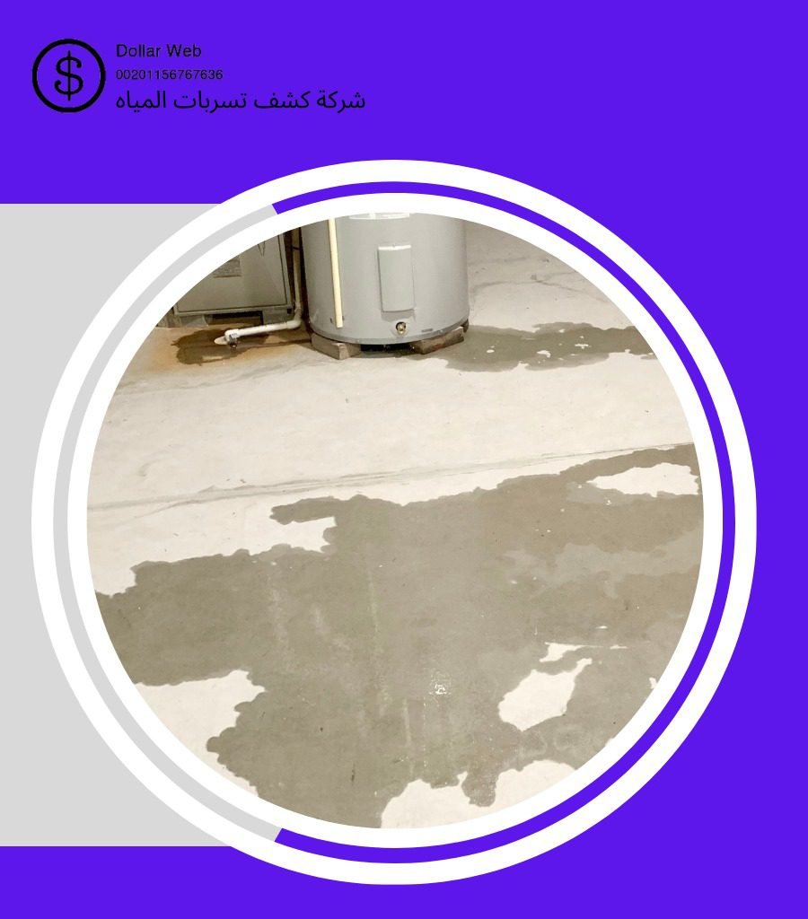 كشف تسربات حي البساتين