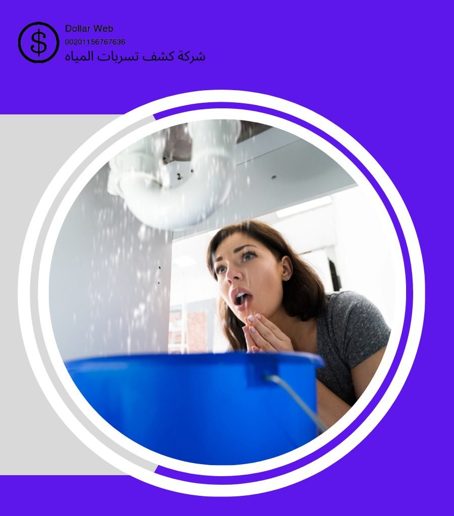 كشف تسربات حي المحمدية