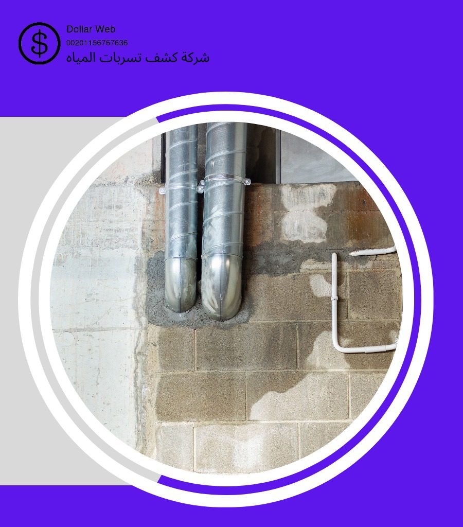 كشف تسربات حي النهضة