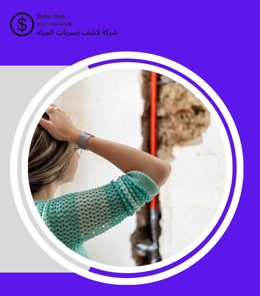 كشف تسربات حي النعيم