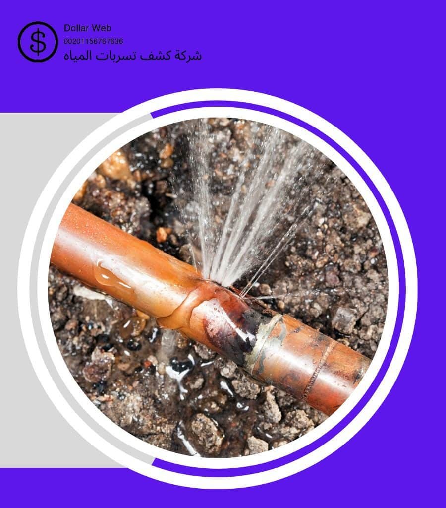 كشف تسربات حي السلامة