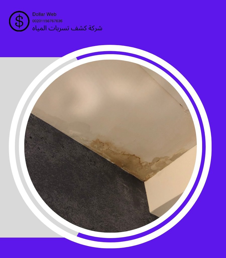 كشف تسربات حي الصحيفة