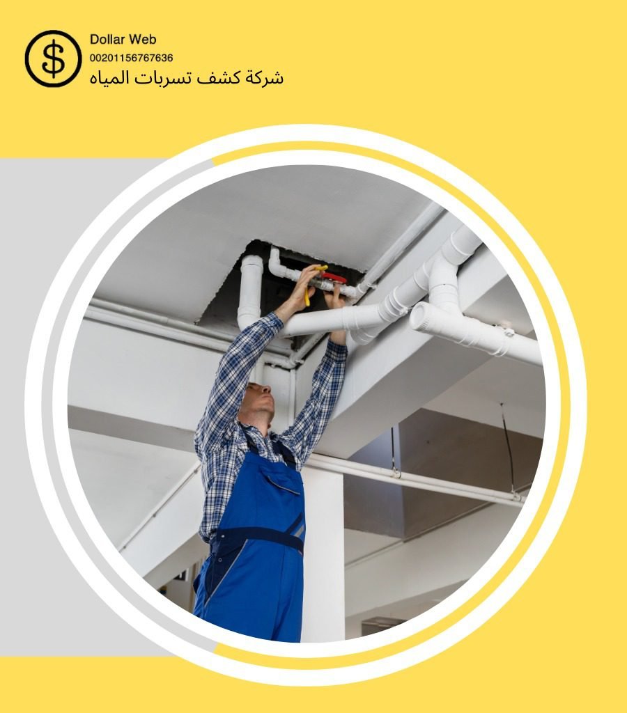 كشف تسربات حي الربوة