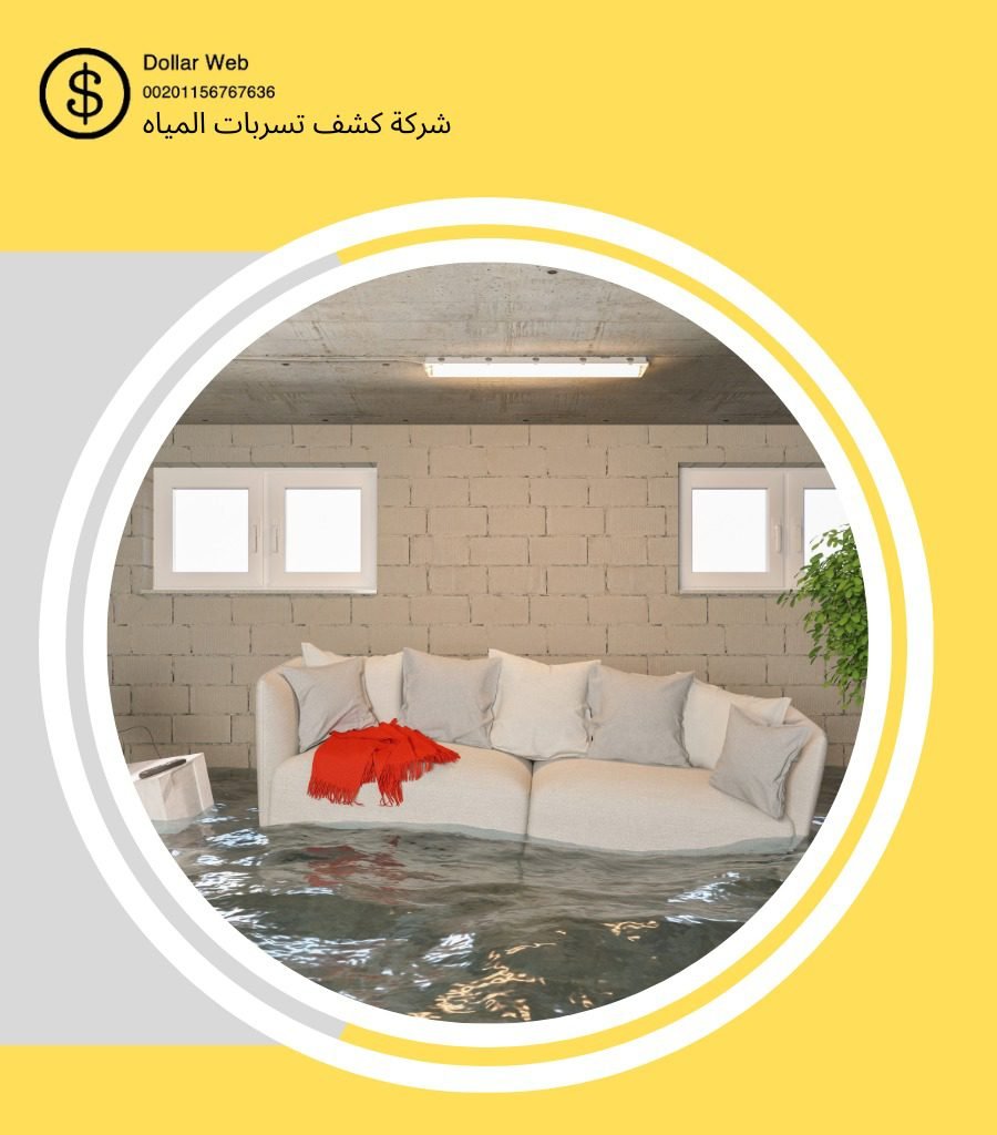 كشف تسربات النهضة