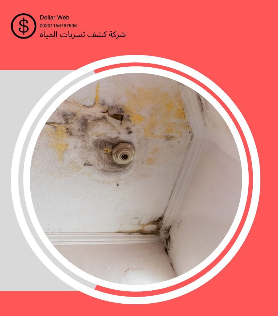 كشف تسربات حي الفيصلية