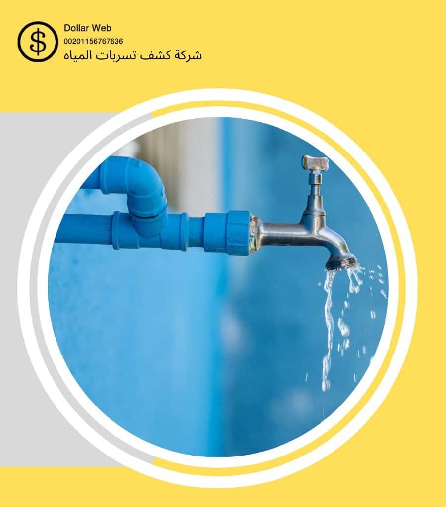 كشف تسربات الربوة