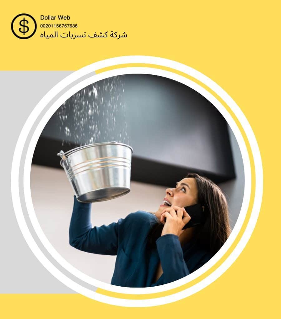 كشف تسربات النزهة