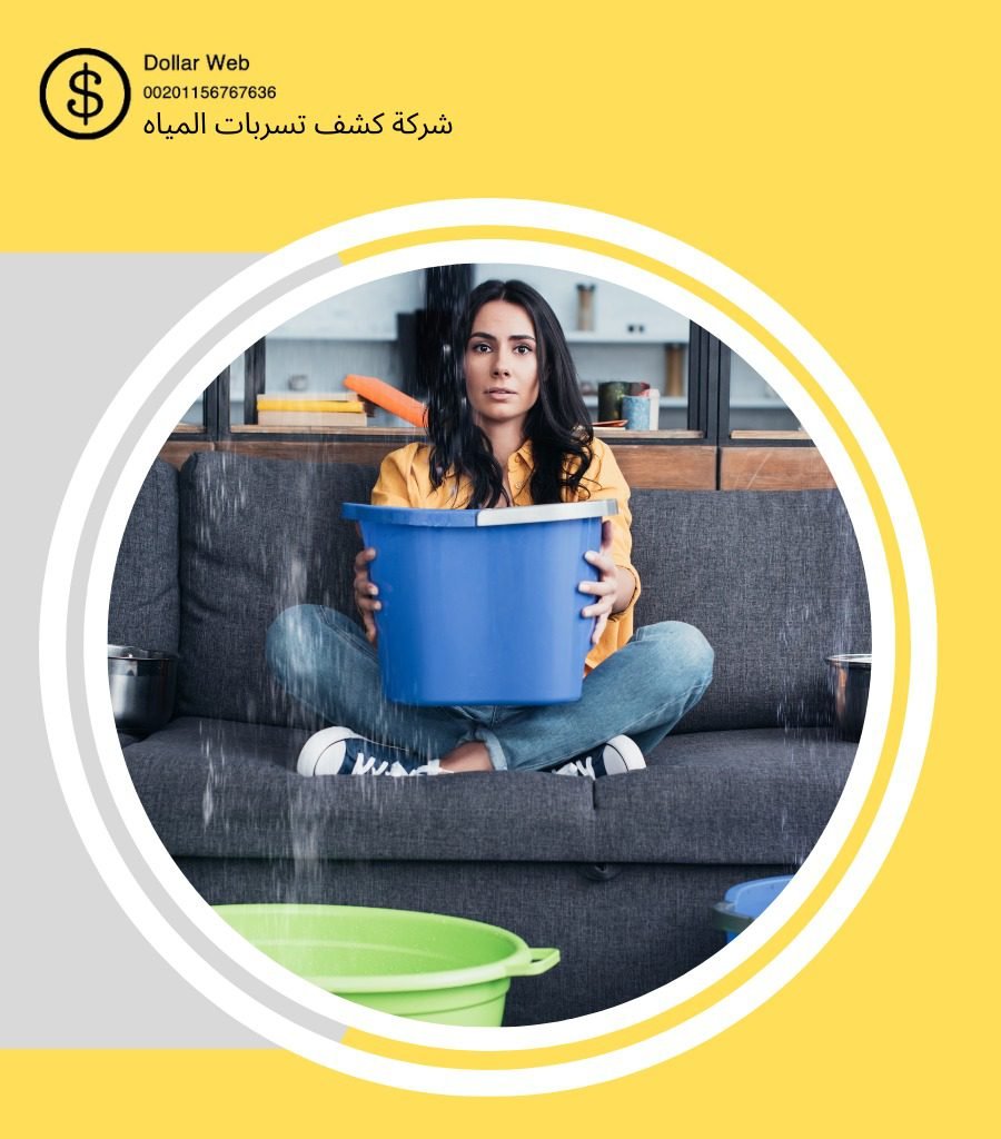 كشف تسربات البوادي