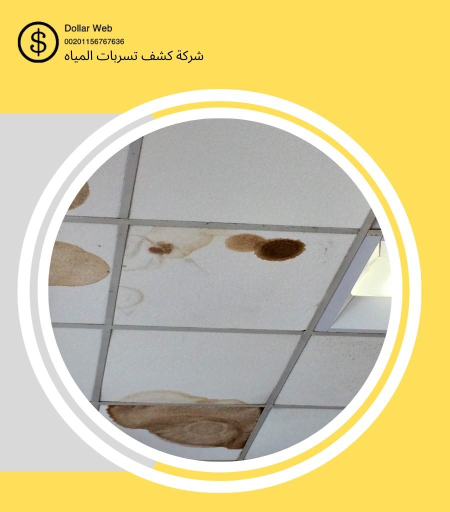 كشف تسربات الروضة