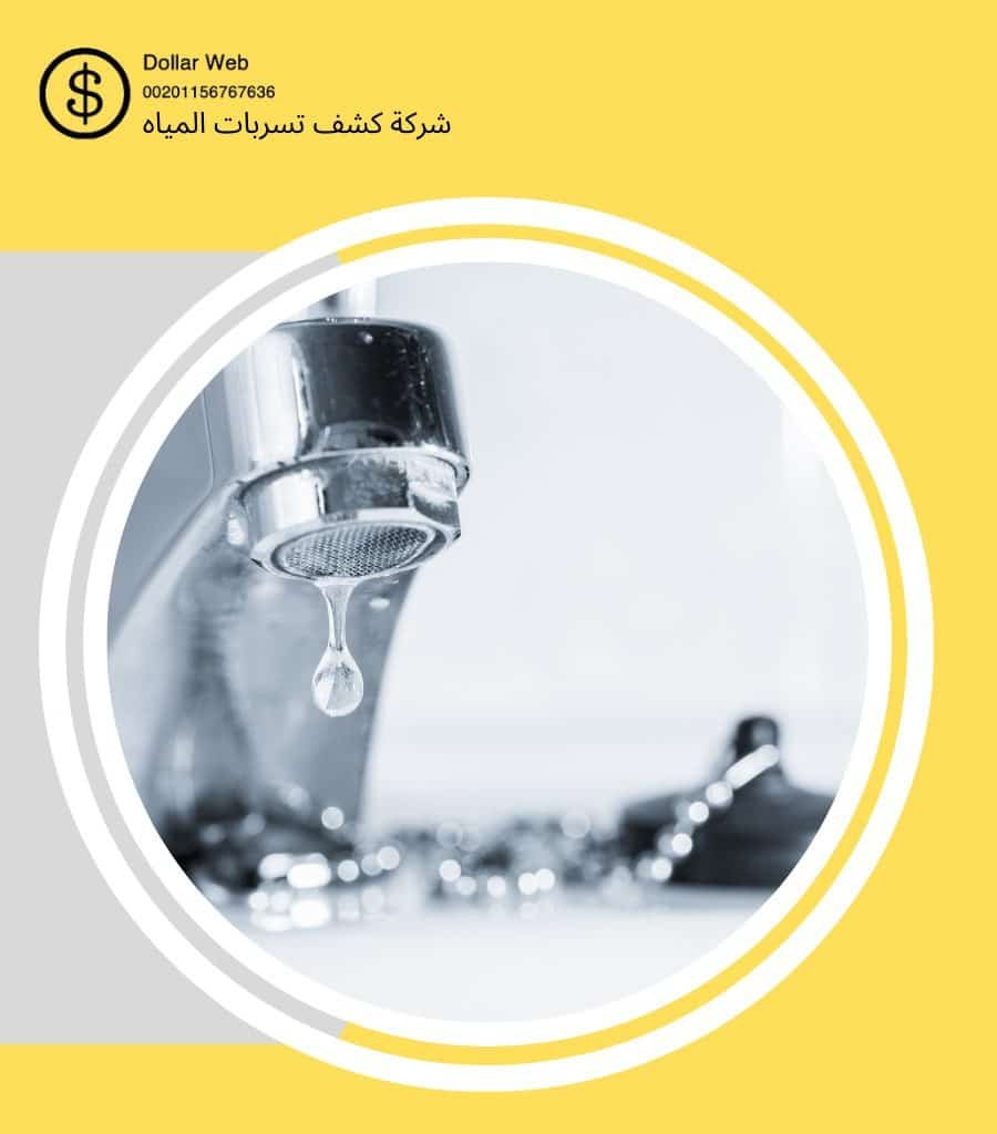 كشف تسربات المحمدية