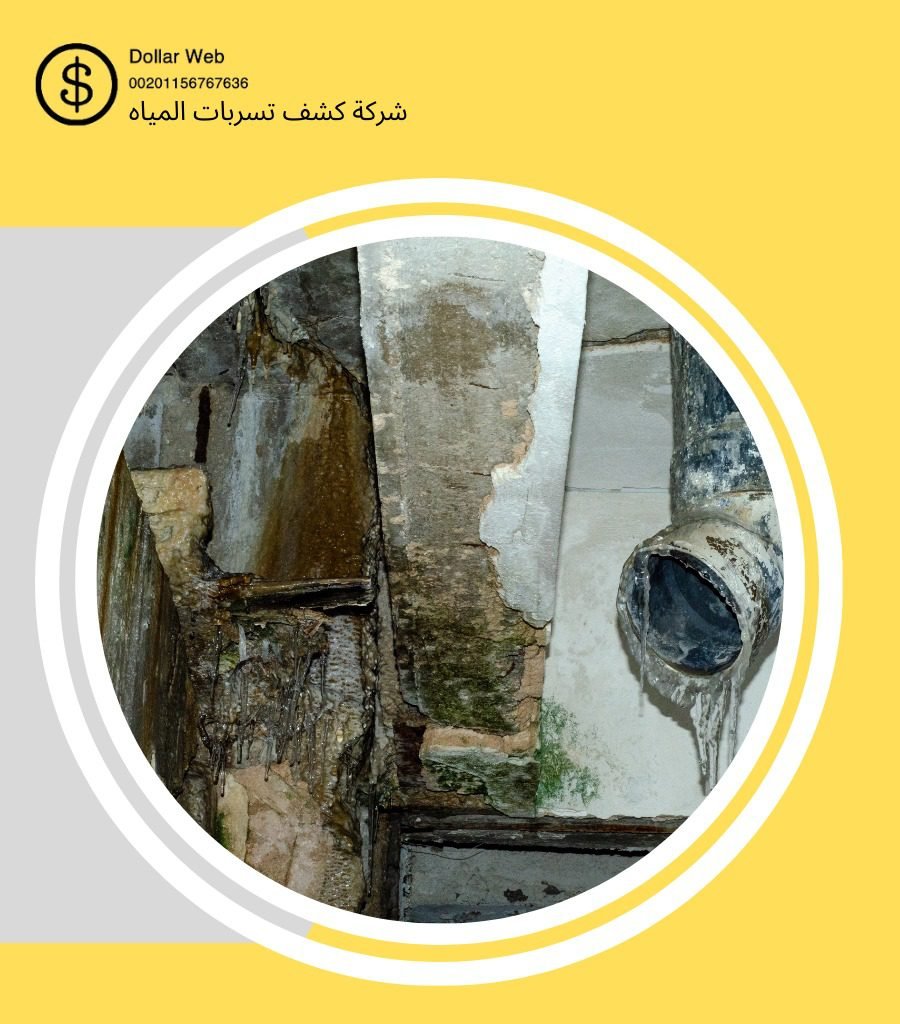 كشف تسربات الثغر