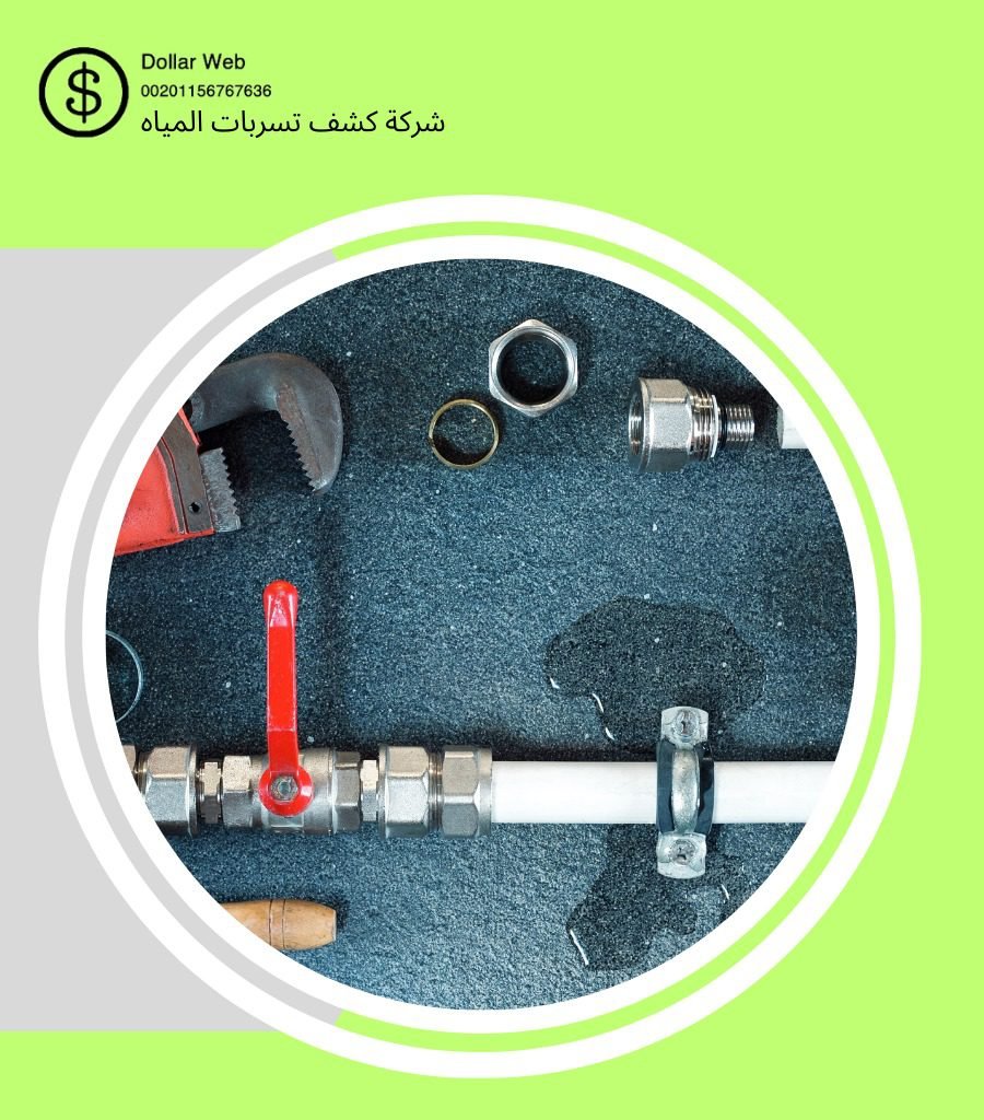 كشف تسربات السليمانية