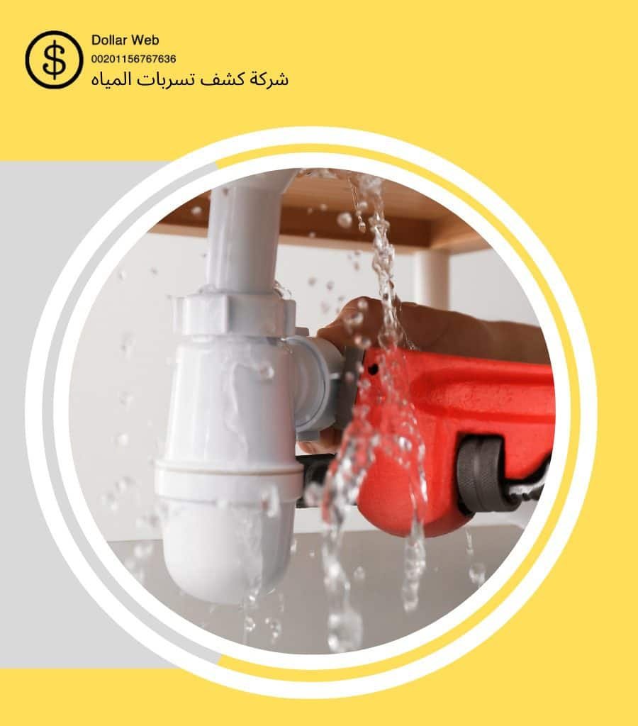 كشف تسربات حي المروة