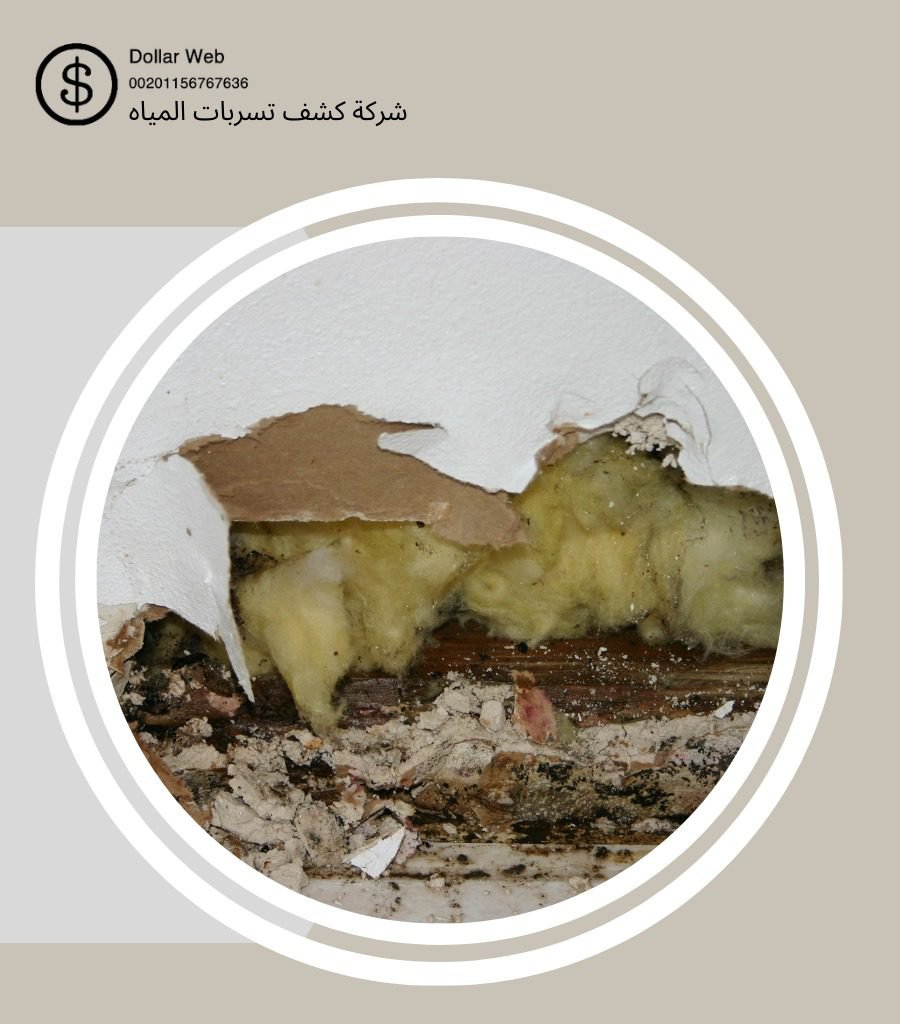 كشف تسربات المروة