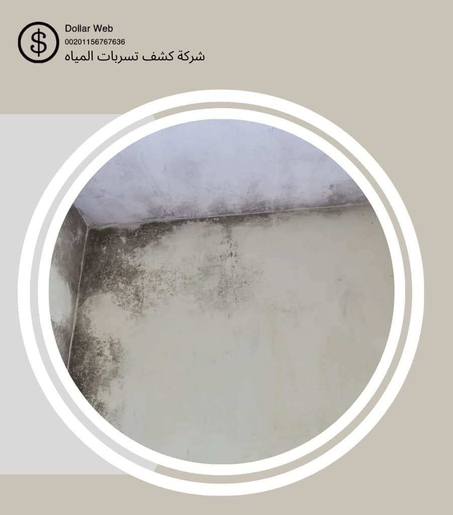 كشف تسربات الصفا