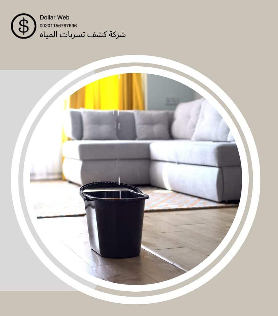 احهزة كشف تسربات بالصحيفة