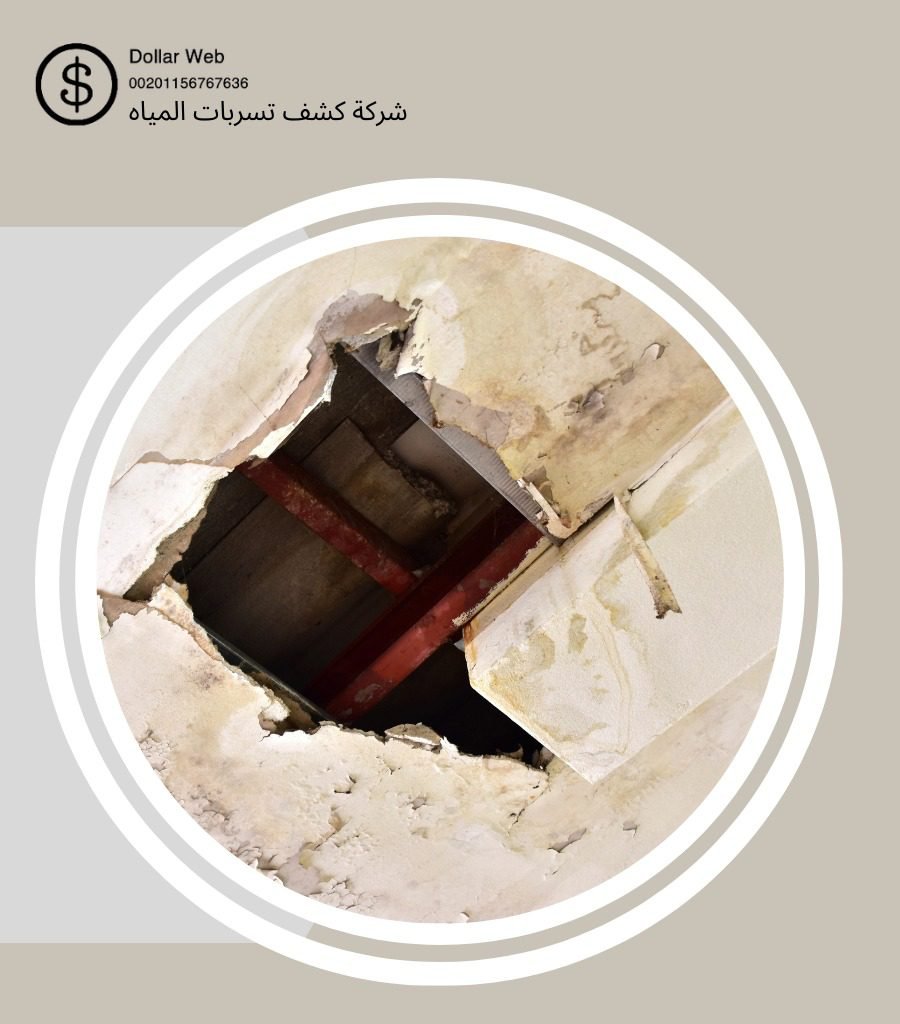 شركات كشف تسربات بالفيصلية